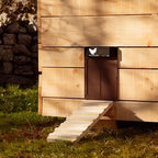 Poultry Farm Automatic Chicken House Door
