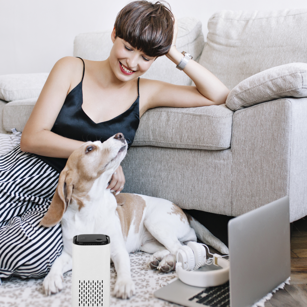 Pet Air Purifier