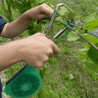Plant Tying Staple Gun
