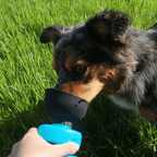 BPA Free Outdoor Dog Water Bottle