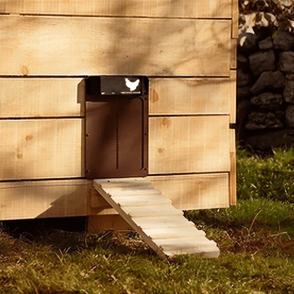 Automatic Chicken Coop Door