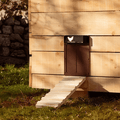 Automatic Chicken Coop Door with Timer – Electric Chicken Run Door