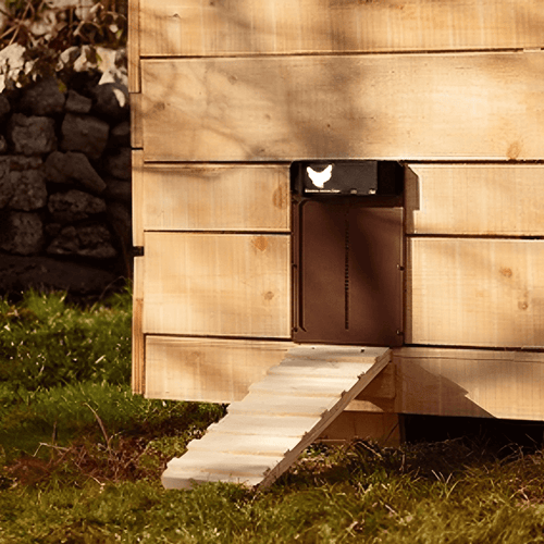 Automatic Chicken Coop Door with Timer – Electric Chicken Run Door
