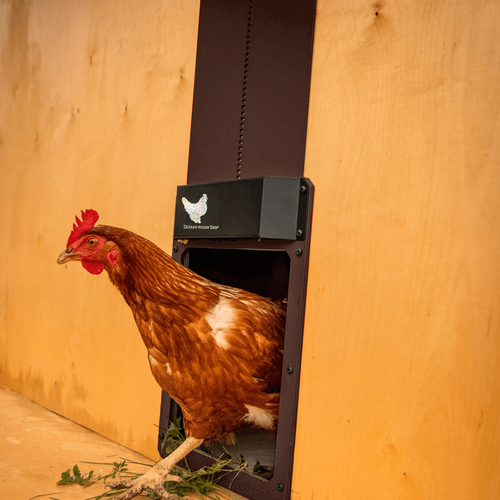 Automatic Chicken Door Opener