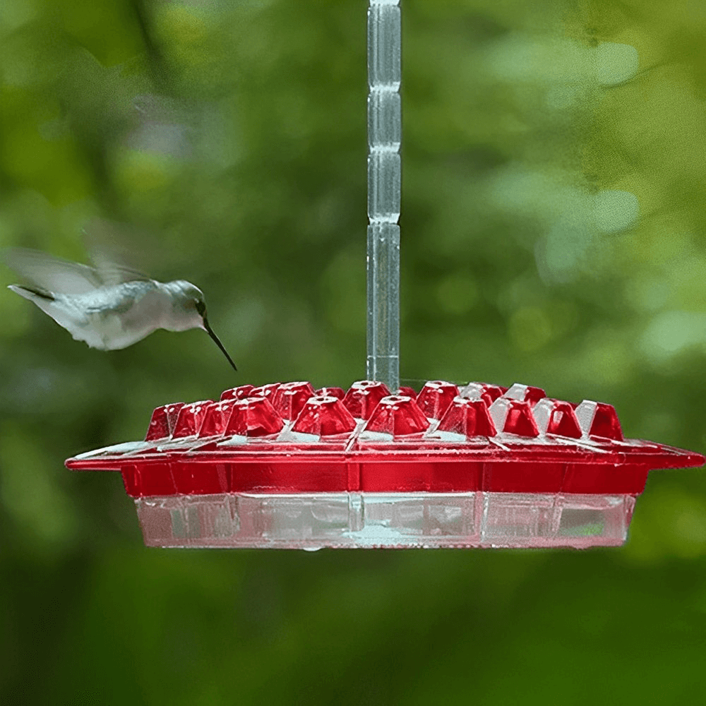Ant Proof Sweety Hummingbird Feeder with Perch – Outdoor Hanging Yard Garden Decoration, Perfect Gift for Garden Lovers
