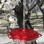 Ant Proof Sweety Hummingbird Feeder with Perch – Outdoor Hanging Yard Garden Decoration, Perfect Gift for Garden Lovers