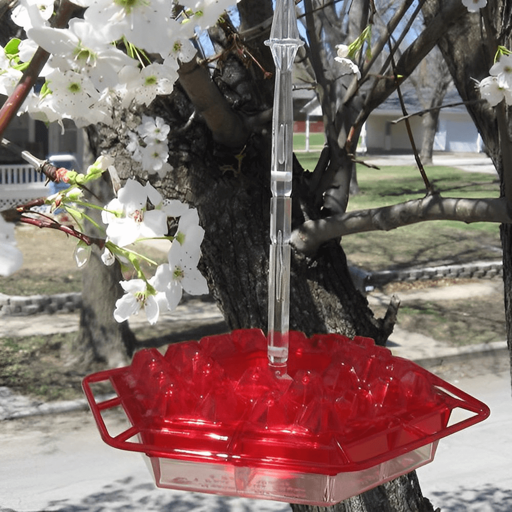 Ant Proof Sweety Hummingbird Feeder with Perch – Outdoor Hanging Yard Garden Decoration, Perfect Gift for Garden Lovers