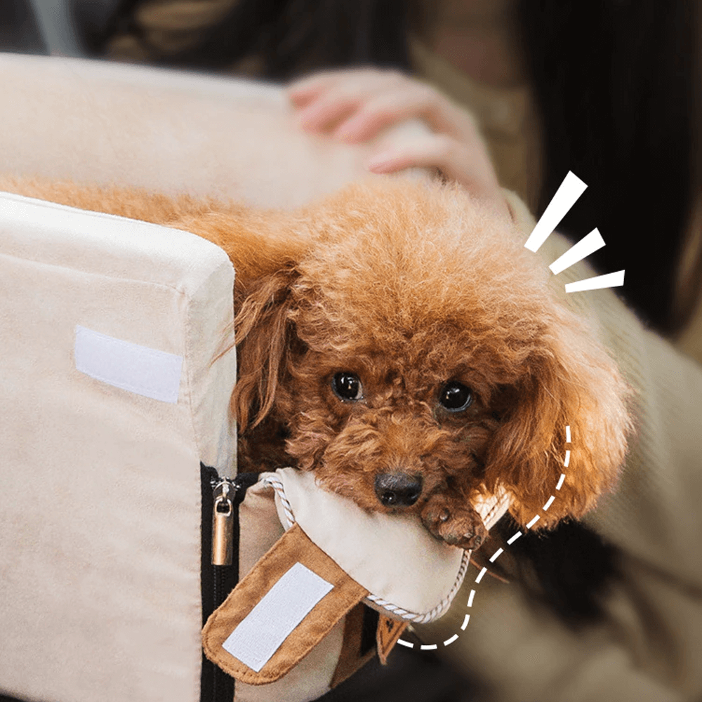 Car Seat For Small Dog