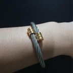 CRAINOC PRO Titanium Osimium Bangle
