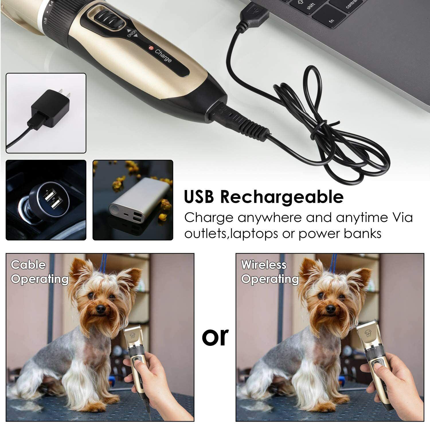 All-in-One Pet Grooming Kit