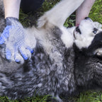 Pet Grooming Gloves for Dogs and Cats
