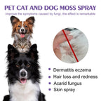 Pet Skin Care Spray: Flea Lice Insect Killer for Dogs, Cats, Puppies, Kittens