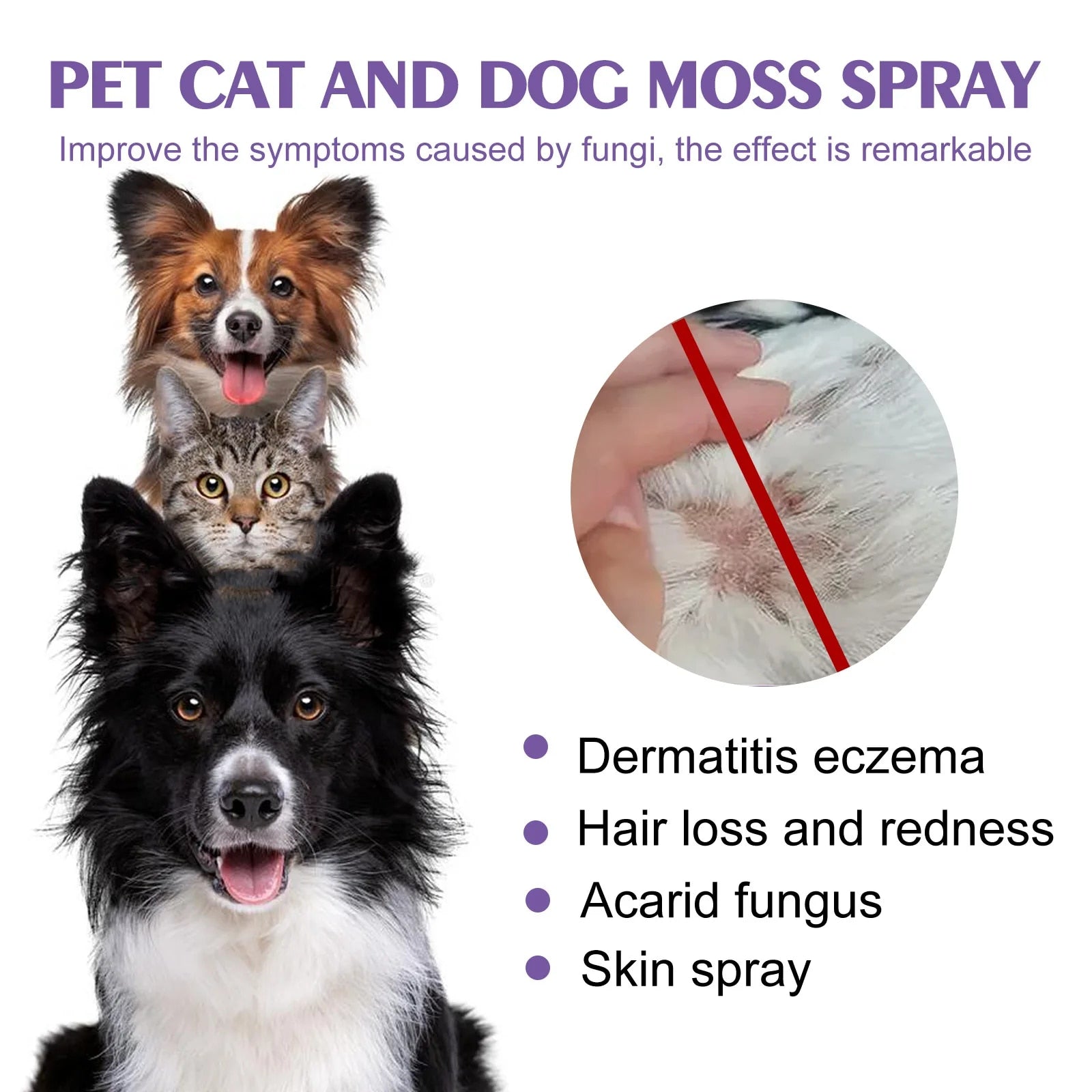 Pet Skin Care Spray: Flea Lice Insect Killer for Dogs, Cats, Puppies, Kittens