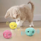 Interactive Plush Cat Toy Ball with Electric Catnip & Touch Sound