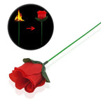 Flame to Rose Magic Trick, Professional Torch to Flower Illusion Prop for Magicians, Stunning Bar Trick