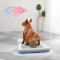 Portable Dog Training Toilet, Indoor Potty for Small Dogs & Cats with Puppy Pad Holder, 47cm Tray for Puppy Pad Training