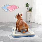 Portable Dog Training Toilet, Indoor Potty for Small Dogs & Cats with Puppy Pad Holder, 47cm Tray for Puppy Pad Training