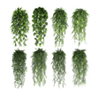 EverGreen Persian Fern Vine 90 cm