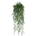 EverGreen Persian Fern Vine 90 cm