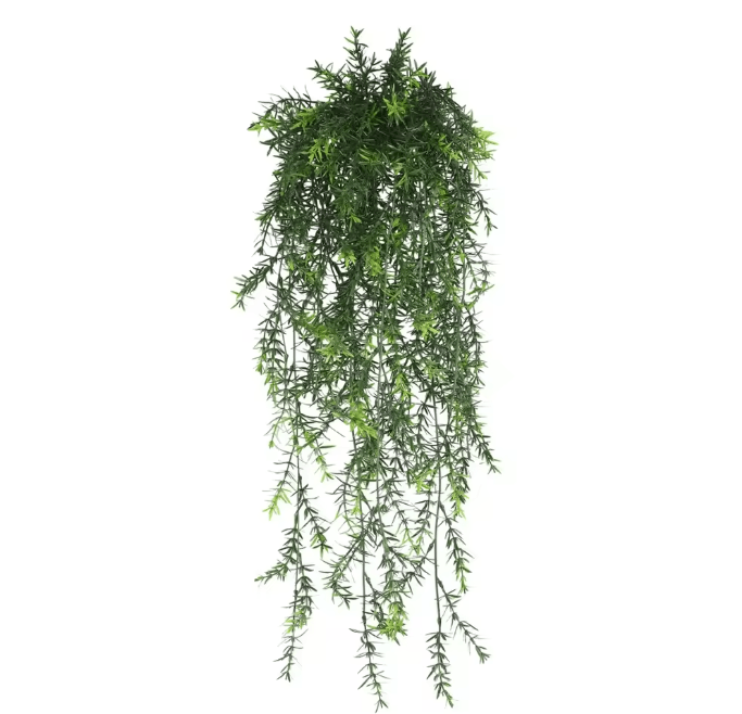 EverGreen Persian Fern Vine 90 cm