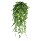 EverGreen Persian Fern Vine 90 cm