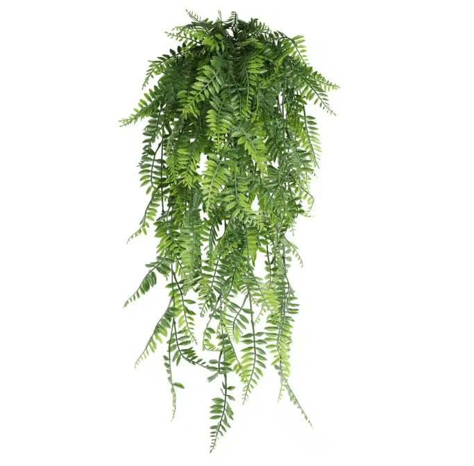 EverGreen Persian Fern Vine 90 cm