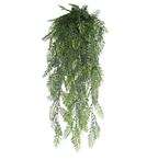 EverGreen Persian Fern Vine 90 cm