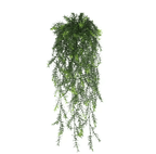 EverGreen Persian Fern Vine 90 cm
