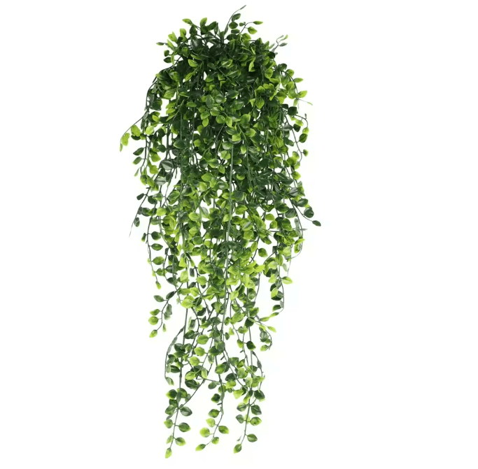 EverGreen Persian Fern Vine 90 cm