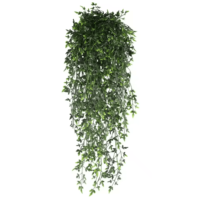 EverGreen Persian Fern Vine 90 cm