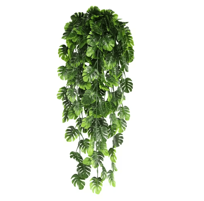 EverGreen Persian Fern Vine 90 cm