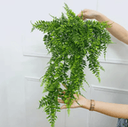 EverGreen Hanging Ivy Vine Decoration