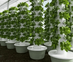 Vertical Hydroponic Tower Planter, Grow More in Less Space