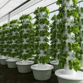 Vertical Hydroponic Tower Planter, Grow More in Less Space