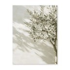 Mediterranean Olive Tree Landscape Wall Art Canvas Print