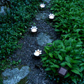 Paw Print Solar LED Garden Lights - Eco-Friendly Outdoor Decor
