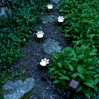 Paw Print Solar LED Garden Lights - Eco-Friendly Outdoor Decor