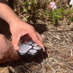 Paw Print Solar LED Garden Lights - Eco-Friendly Outdoor Decor