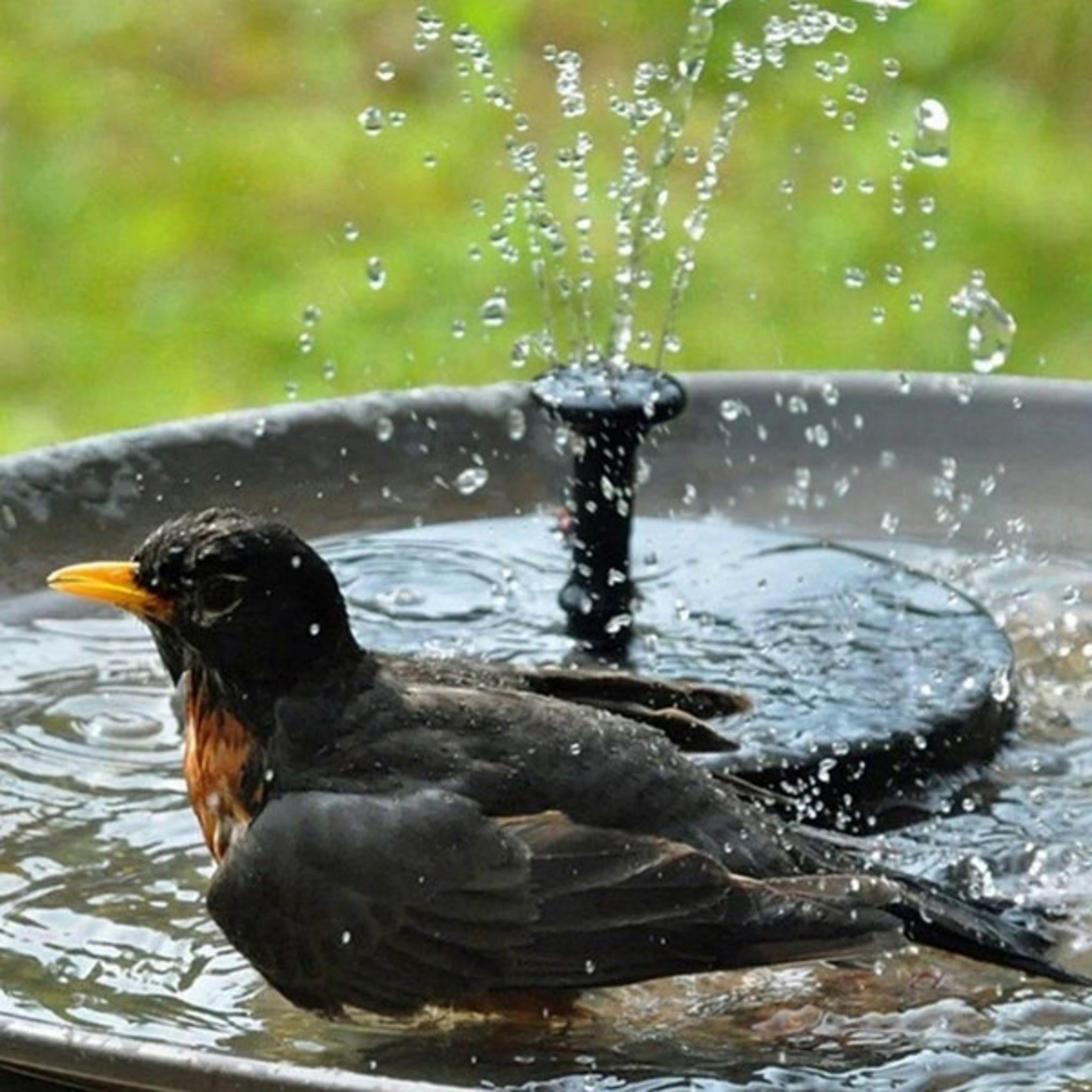 Transform Your Garden - Effortless Solar Powered Garden Fountain, Enhance Your Outdoor Space