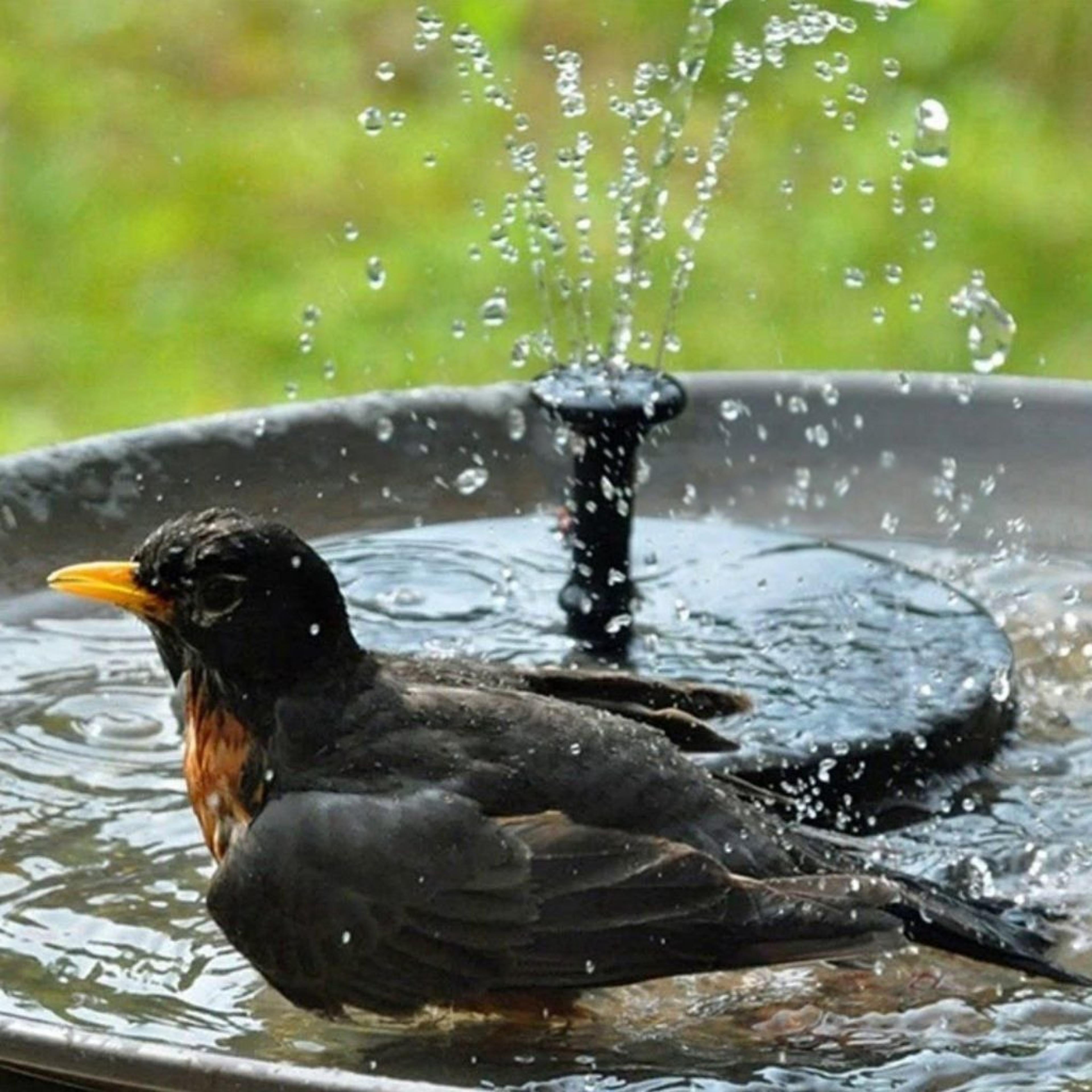 Solar Water Fountain for Garden – Eco-Friendly Outdoor Solar-Powered Fountain, Gift for Garden Lovers, Garden Fountain